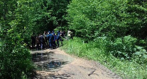Лес в Веденском районе Чечни http://www.grozny-inform.ru/main.mhtml?Part=11&PubID=84960 Лес в Веденском районе Чечни http://www.grozny-inform.ru/main.mhtml?Part=11&PubID=84960