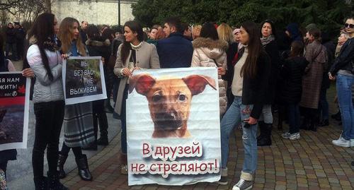 Участники пикета в Сочи, 18 февраля 2018 год. Фото: Светлана Кравченко для "Кавказского узла" Участники пикета в Сочи, 18 февраля 2018 год. Фото: Светлана Кравченко для "Кавказского узла"