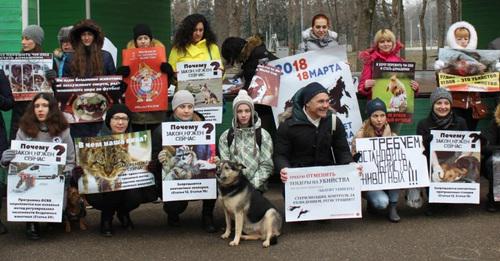 Пикет зоозащитников в Краснодаре. 24 февраля 2018 года. Фото Инессы Гончар для "Кавказского узла" Пикет зоозащитников в Краснодаре. 24 февраля 2018 года. Фото Инессы Гончар для "Кавказского узла"
