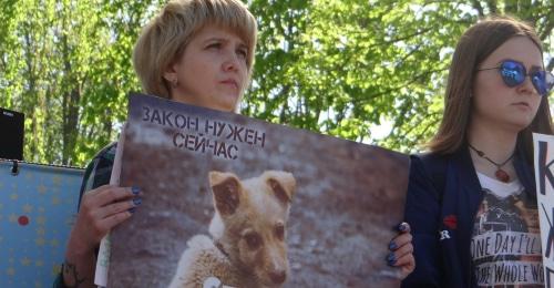 Участники митинга в защиту животных. Краснодар, 14 апреля 2018 год. Фото: Иван Карпенко для "Кавказского узла". Участники митинга в защиту животных. Краснодар, 14 апреля 2018 год. Фото: Иван Карпенко для "Кавказского узла".
