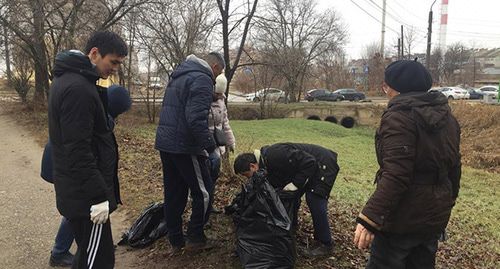 Жители Элисты убирают город. Фото предоставлены участницей уборки Сагларой Бахниковой Жители Элисты убирают город. Фото предоставлены участницей уборки Сагларой Бахниковой