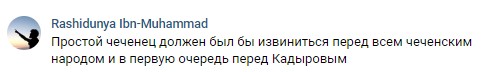 Скриншот комментария на странице портала (издание, название которого 