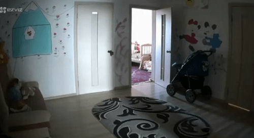 Помещение приюта "Теплый дом на горе". Кадр видео в Instagram организации https://www.instagram.com/p/B4DXUf_B5N8/ Помещение приюта "Теплый дом на горе". Кадр видео в Instagram организации https://www.instagram.com/p/B4DXUf_B5N8/