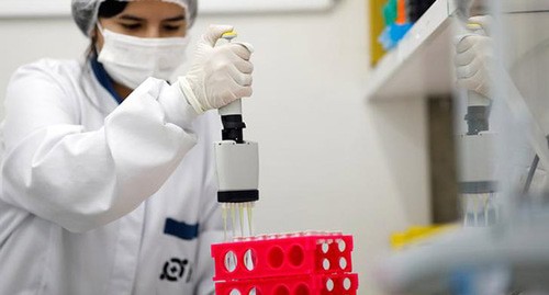 Сотрудник лаборатории диагностирует тесты на вирус. Бразилия, март 2020 г. Фото: REUTERS/Rodolfo Buhrer Сотрудник лаборатории диагностирует тесты на вирус. Бразилия, март 2020 г. Фото: REUTERS/Rodolfo Buhrer