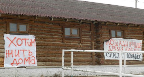 Плакаты на стенах конно-спортивного клуба "Сосновый бор". Фото Татьяны Филимоновой для "Кавказского узла" Плакаты на стенах конно-спортивного клуба "Сосновый бор". Фото Татьяны Филимоновой для "Кавказского узла"