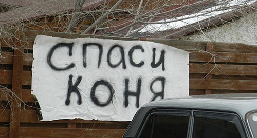 Плакат на стене конюшни "Соснового бора". Фото Татьяны Филимоновой для "Кавказского узла" Плакат на стене конюшни "Соснового бора". Фото Татьяны Филимоновой для "Кавказского узла"