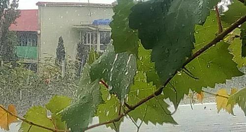 Дождь. Фото Нины Тумановой для "Кавказского узла" Дождь. Фото Нины Тумановой для "Кавказского узла"
