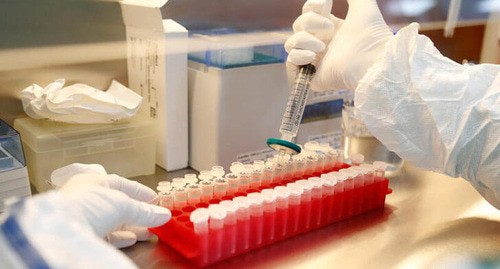 Cсследований и разработкf вакцины против коронавирусной болезни (COVID-19) в лаборатории Фото: REUTERS/Anton Vaganov Cсследований и разработкf вакцины против коронавирусной болезни (COVID-19) в лаборатории Фото: REUTERS/Anton Vaganov