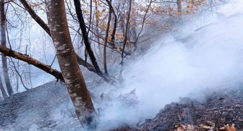Пожар в лесу после обстрела. Фото: https://vesti.az/socium/pozhar-proizoshedshij-v-lesnom-massive-v-rezultate-obstrela-armyanami-gyoranboya-potushen-obnovleno-420717 Пожар в лесу после обстрела. Фото: https://vesti.az/socium/pozhar-proizoshedshij-v-lesnom-massive-v-rezultate-obstrela-armyanami-gyoranboya-potushen-obnovleno-420717