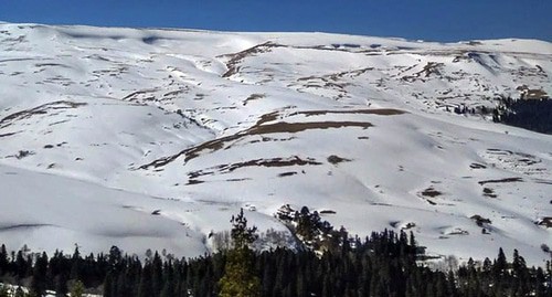 Плато Лаго-Наки. Фото: официальный сайт Экологическая вахта по Северного Кавказу http://www.ewnc.org/node/27357 Плато Лаго-Наки. Фото: официальный сайт Экологическая вахта по Северного Кавказу http://www.ewnc.org/node/27357