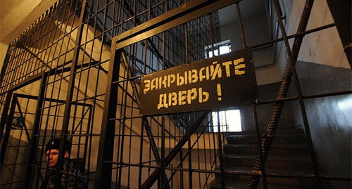 Колония. Фото Елены Синеок, Юга ру Колония. Фото Елены Синеок, Юга ру