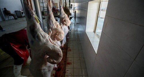 Разделка туш баранов для жертвоприношения. Фото Азиза Каримова для "Кавказского узла" Разделка туш баранов для жертвоприношения. Фото Азиза Каримова для "Кавказского узла"