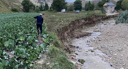 Сход селя в Левашинском районе Дагестана. Фото: https://mcxrd.ru/ Сход селя в Левашинском районе Дагестана. Фото: https://mcxrd.ru/