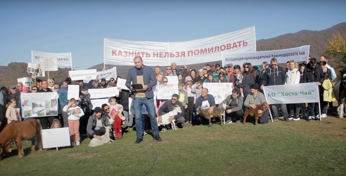 Обращение сельхозпроизводителей к Путину. Скриншот с видео Обращение сельхозпроизводителей к Путину. Скриншот с видео