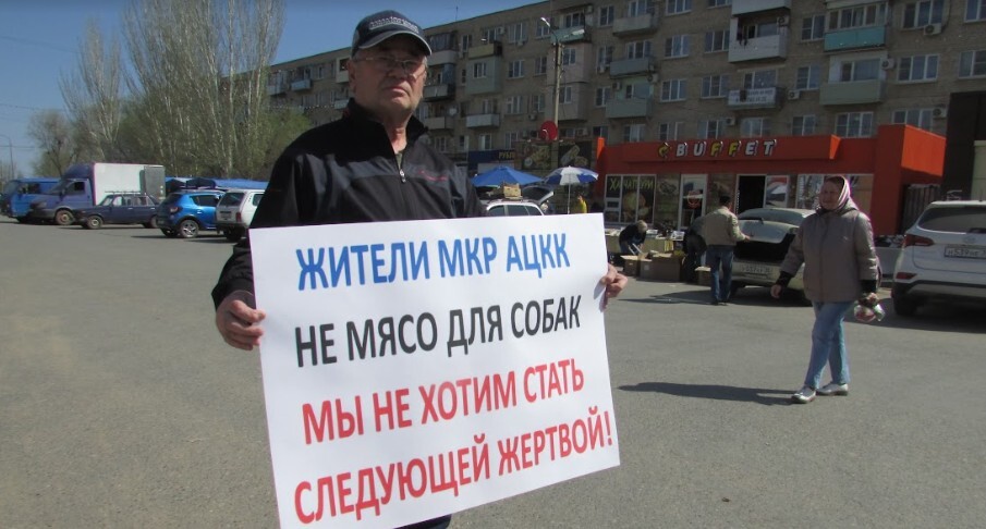 Участник акции требует решить проблему с бродячими собаками в Астрахани. 8 апреля 2023 года. Фото Вячеслава Ященко для "Кавказского узла". Участник акции требует решить проблему с бродячими собаками в Астрахани. 8 апреля 2023 года. Фото Вячеслава Ященко для "Кавказского узла".