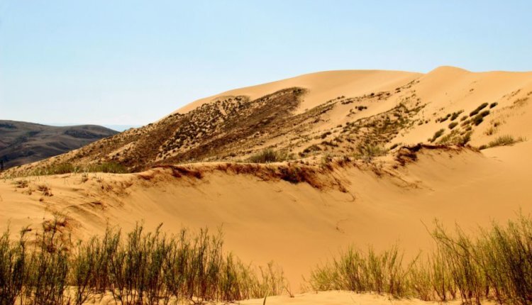 Бархан Сарыкум. Фото: https://nia.eco/2023/10/25/71865 Бархан Сарыкум. Фото: https://nia.eco/2023/10/25/71865