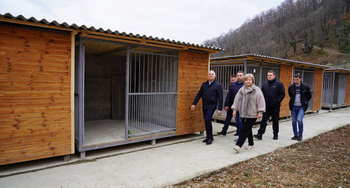 Вольеры в сочинском муниципальном приюте для бездомных животных. Фото: пресс-служба администрации Сочи 