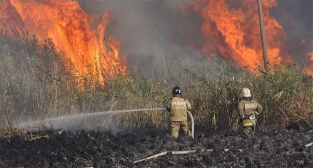 Лесной пожар в Ростовской области. 30 сентября 2024 года. Фото: ГУ МЧС России по Ростовской области Лесной пожар в Ростовской области. 30 сентября 2024 года. Фото: ГУ МЧС России по Ростовской области