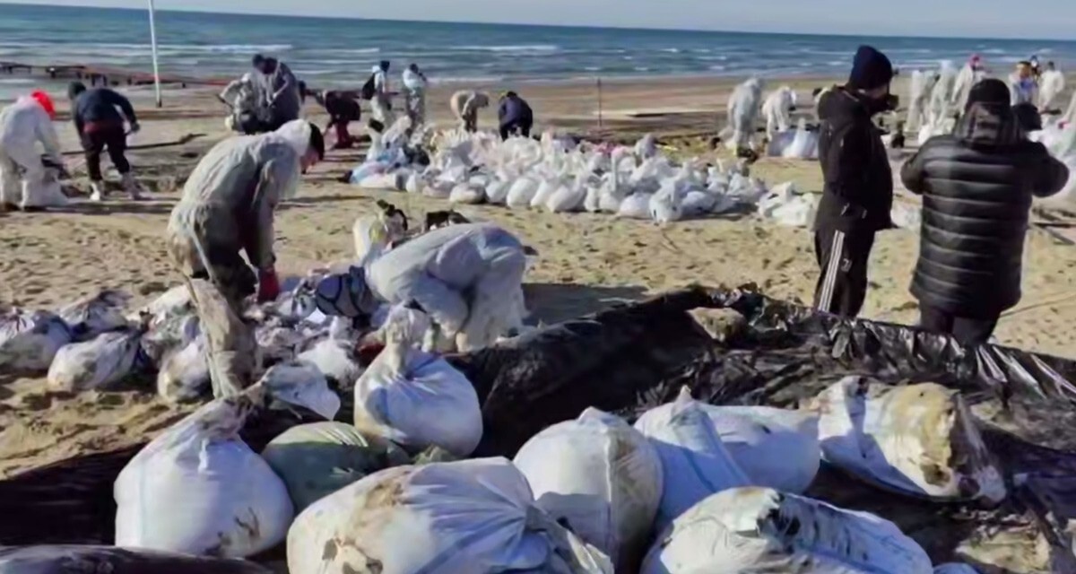 Участники ликвидации последствий разлива мазута. Кадр видео из телеграм-канала администрации Анапы https://t.me/anapaofficial/26321 Участники ликвидации последствий разлива мазута. Кадр видео из телеграм-канала администрации Анапы https://t.me/anapaofficial/26321