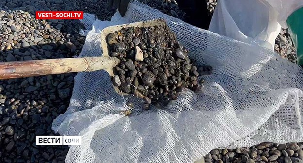Загрязненная мазутом галька в Сочи. Скриншот видео от 27 января 2025 года. https://vesti-sochi.tv/ Загрязненная мазутом галька в Сочи. Скриншот видео от 27 января 2025 года. https://vesti-sochi.tv/
