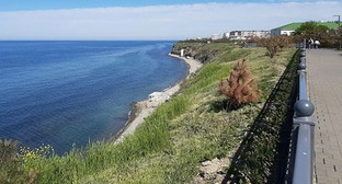 Побережье в Анапе. Фото: Анна Петрова, 