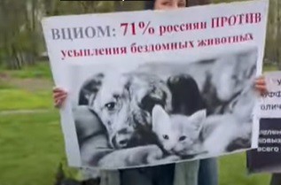 Пикет зоозащитников в Краснодаре. Скриншот видео "Кавказского узла" https://www.youtube.com/shorts/DVNEUsp2QJ0 Пикет зоозащитников в Краснодаре. Скриншот видео "Кавказского узла" https://www.youtube.com/shorts/DVNEUsp2QJ0