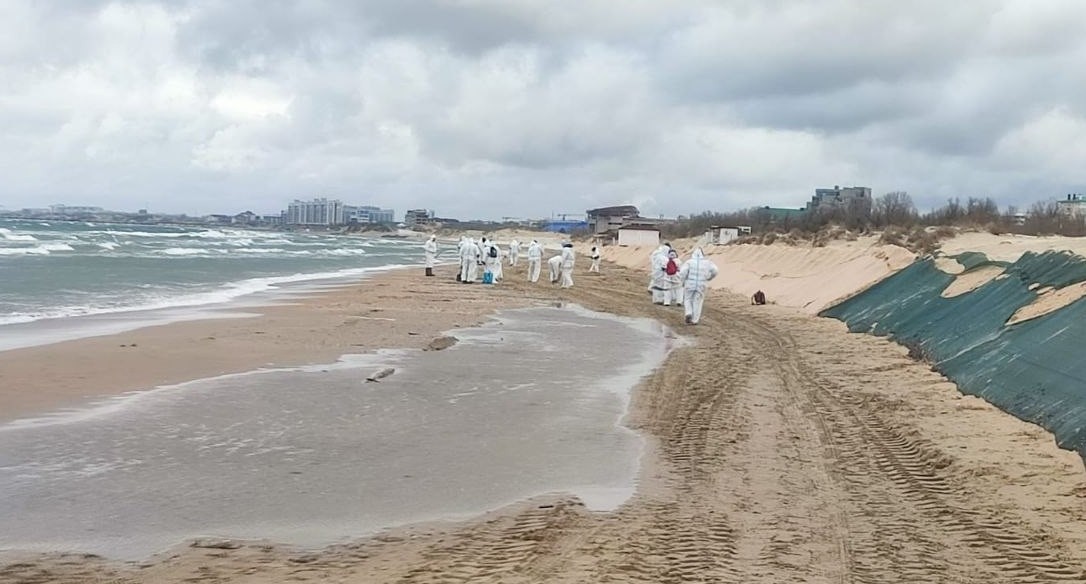Участники ликвидации последствий разлива мазута. Анапа, 6 апреля 2025 года. Фото из телеграм-канала оперштаба Кубани https://t.me/opershtab23/13125 Участники ликвидации последствий разлива мазута. Анапа, 6 апреля 2025 года. Фото из телеграм-канала оперштаба Кубани https://t.me/opershtab23/13125