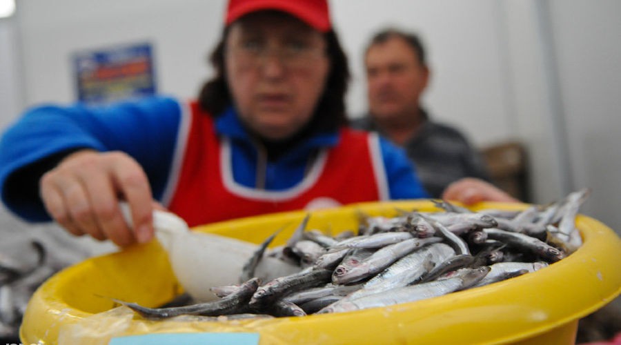 Продажа черноморской рыбы. Фото Елены Синеок, "Юга.ру" Продажа черноморской рыбы. Фото Елены Синеок, "Юга.ру"