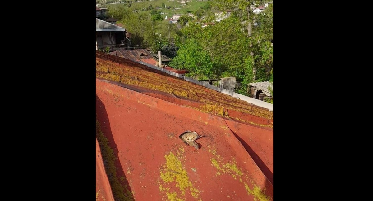 Повреждение крыши дома в селе Хнацах. Фото из телеграм-канала Минобороны Армении https://t.me/mil_armenia/16302 Повреждение крыши дома в селе Хнацах. Фото из телеграм-канала Минобороны Армении https://t.me/mil_armenia/16302