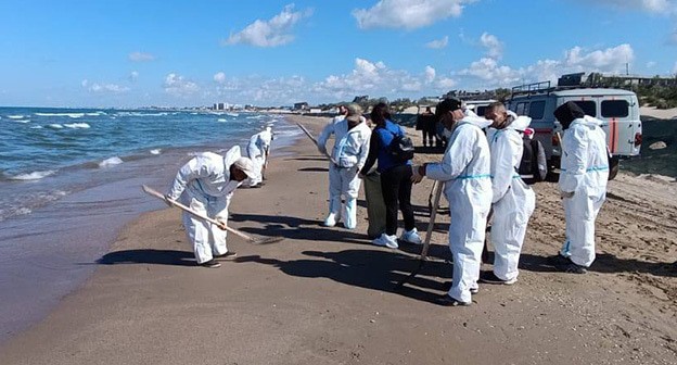 Уборка пляжа от мазута в Анапе. 14 мая 2025 года. Фото: оперштаб Краснодарского края https://t.me/opershtab23/13475 Уборка пляжа от мазута в Анапе. 14 мая 2025 года. Фото: оперштаб Краснодарского края https://t.me/opershtab23/13475