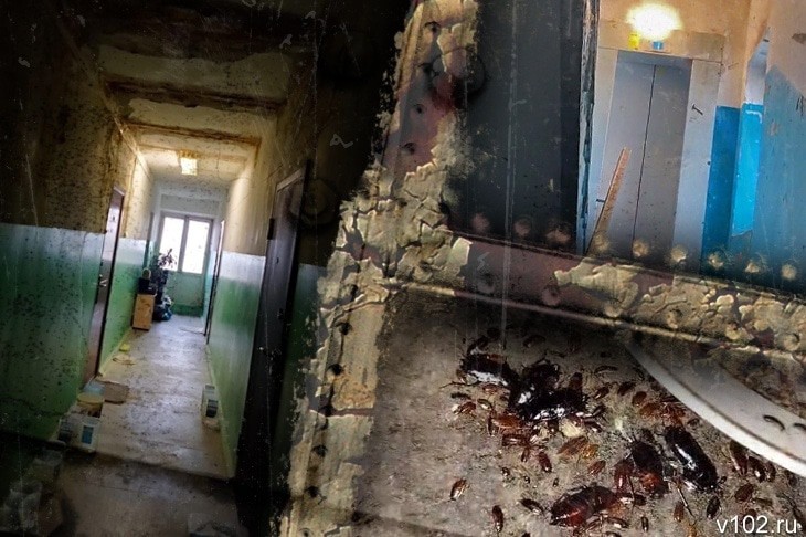 Аварийный дом по улице Сологубова в Волгограде. Фото: ИА "Высота 102" https://v102.ru/news/144140.html