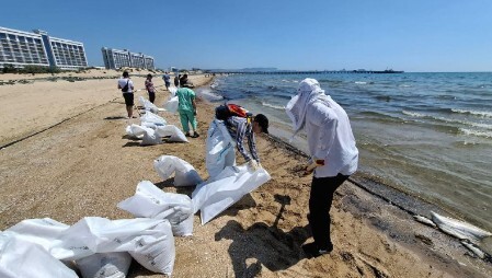 Работы по очистке пляжей в Анапе. Фото из телеграм-канала оперштаба Кубани. Работы по очистке пляжей в Анапе. Фото из телеграм-канала оперштаба Кубани.