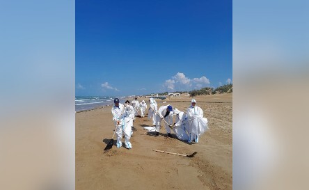 Работы по очистке береговой линии в поселке Джемете. Фото из телеграм-канала оперштаба Кубани. Работы по очистке береговой линии в поселке Джемете. Фото из телеграм-канала оперштаба Кубани.