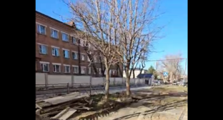 На улице Лизы Чайкиной запланирована вырубка деревьев. Кадр из видео Айгума Гитинова от 18 декабря 2025 года.