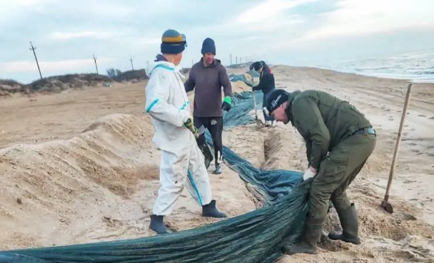 Волонтеры убирают сети на Бугазской косе. Скриншот фото штаба "Сети, сито, лопата" от 6.1.26, https://t.me/setisitolopata/2247. Волонтеры убирают сети на Бугазской косе. Скриншот фото штаба "Сети, сито, лопата" от 6.1.26, https://t.me/setisitolopata/2247.