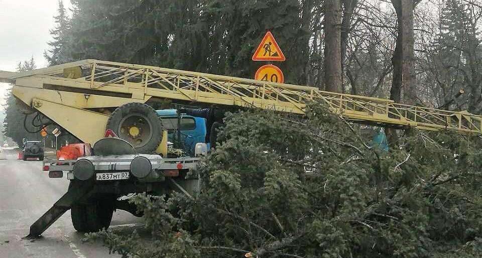 Вырубка деревьев на улице Карашаева в Нальчике. Фото: Город для людей / Telegram Вырубка деревьев на улице Карашаева в Нальчике. Фото: Город для людей / Telegram