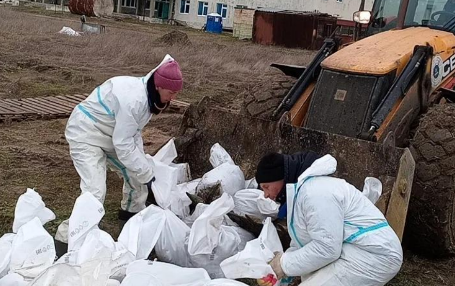 Волонтеры убирают мешки с мазутом у поселка Волна. Скриншот фото штаба "Дельфины" от 31.01.26, https://t.me/shtab_delfin/1954. Волонтеры убирают мешки с мазутом у поселка Волна. Скриншот фото штаба "Дельфины" от 31.01.26, https://t.me/shtab_delfin/1954.