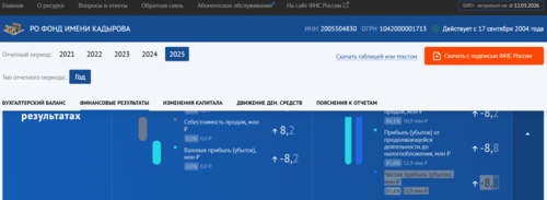 Фрагмент отчета фонда Кадырова. Скриншот фото https://bo.nalog.gov.ru/organizations-card/3157654 Фрагмент отчета фонда Кадырова. Скриншот фото https://bo.nalog.gov.ru/organizations-card/3157654