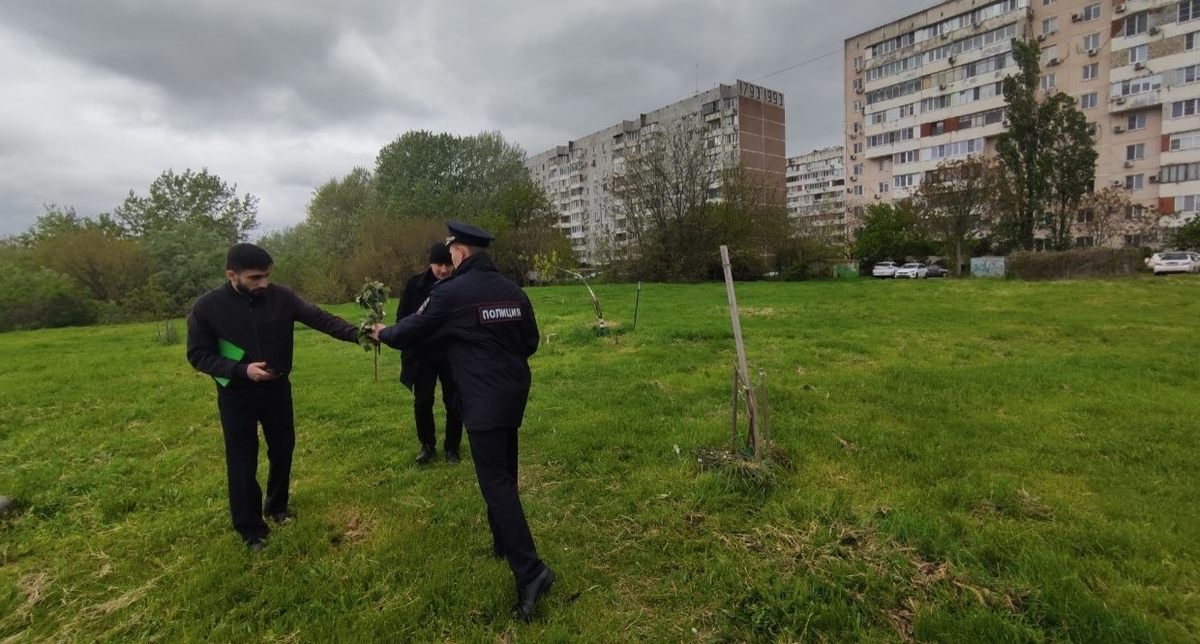 Полицейские принимают заявление об уничтожении зелёных насаждений в Юбилейном микрорайоне. Краснодар, 2 мая 2026 года. Фото из телеграм-канала "Краснодар ЮМР" https://t.me/KrasnodarUMR/25034 Полицейские принимают заявление об уничтожении зелёных насаждений в Юбилейном микрорайоне. Краснодар, 2 мая 2026 года. Фото из телеграм-канала "Краснодар ЮМР" https://t.me/KrasnodarUMR/25034