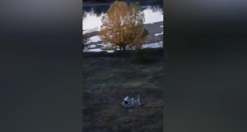 Кадр видео из телеграм-канала "Дуб Хранитель ЮМР" https://t.me/dub_UMR/1282 Кадр видео из телеграм-канала "Дуб Хранитель ЮМР" https://t.me/dub_UMR/1282