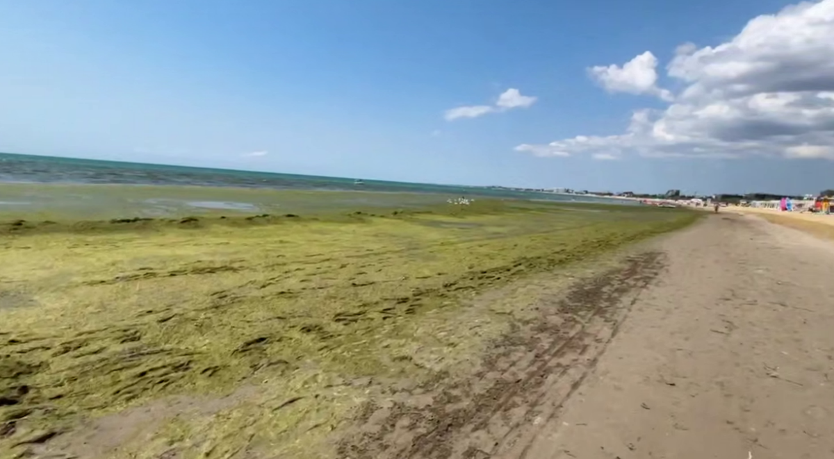 Море у пляжа в районе "Гранд Отеля". Стоп-кадр видео Юрия Озаровского от 08.07.26, https://t.me/MoreOz/128338. Море у пляжа в районе "Гранд Отеля". Стоп-кадр видео Юрия Озаровского от 08.07.26, https://t.me/MoreOz/128338.