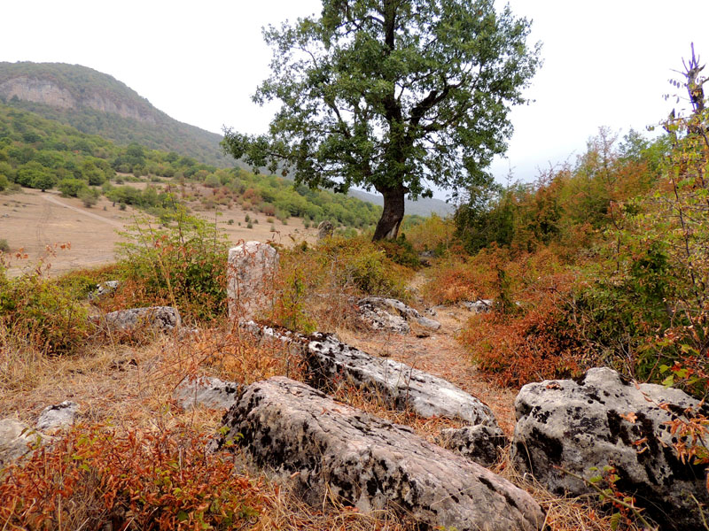 Камни старинного кладбища (12- 17 вв.) с.Кичан Мардакертского района. Камни старинного кладбища (12- 17 вв.) с.Кичан Мардакертского района.