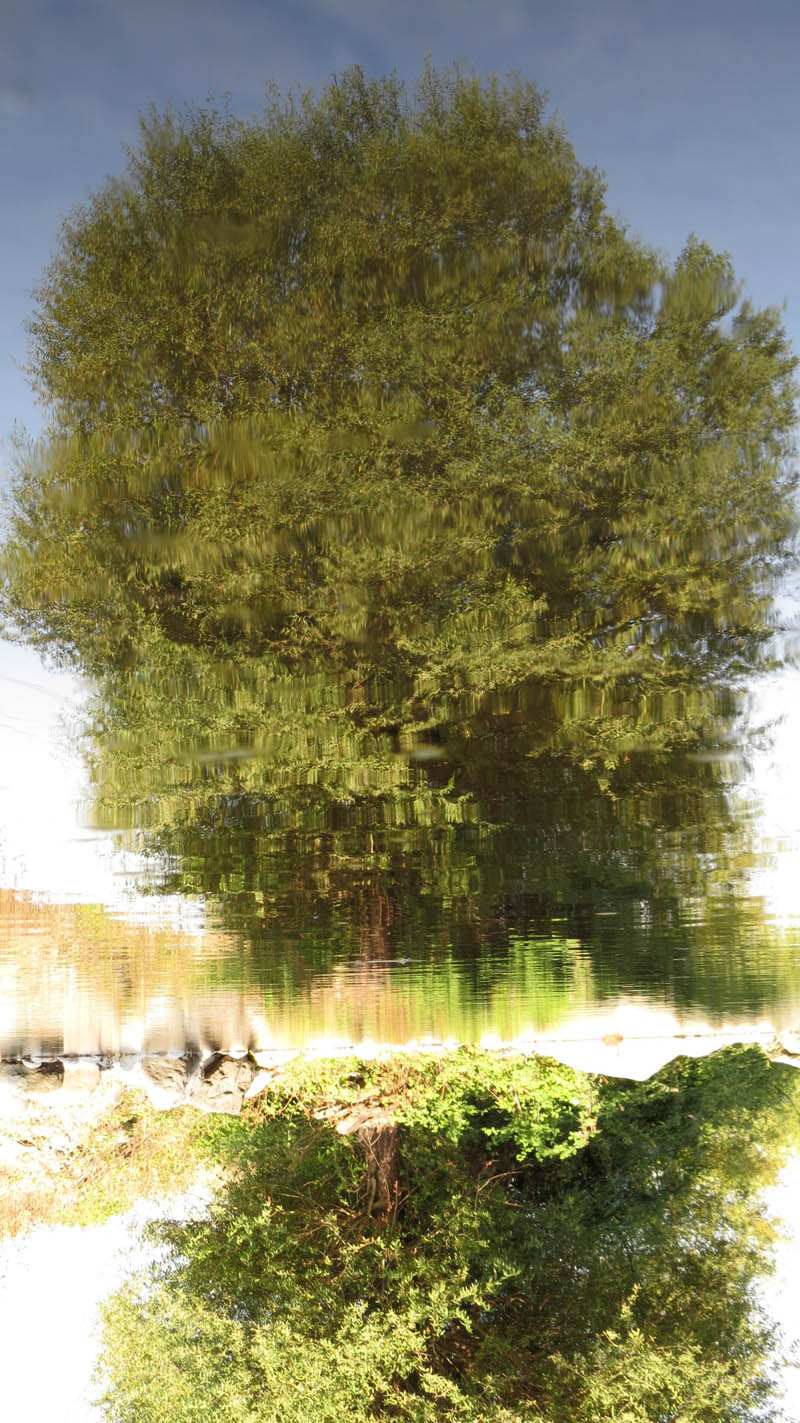 undefined