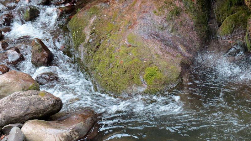 Иногда перед нашим взором открывалась картина, когда вода небольшой речки бурля, с шумом вырывалась из объятий камней.