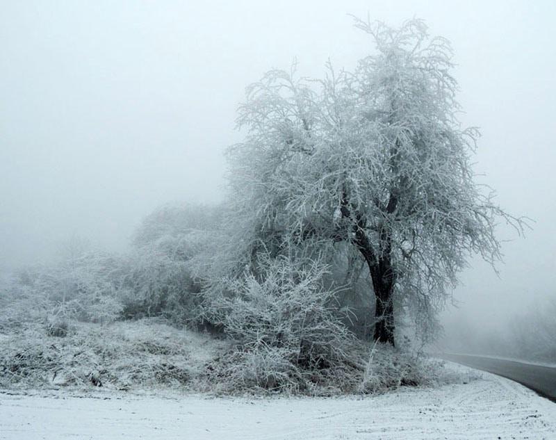 Фотовыставка (декабрь) - 1. Фотовыставка (декабрь) - 1.