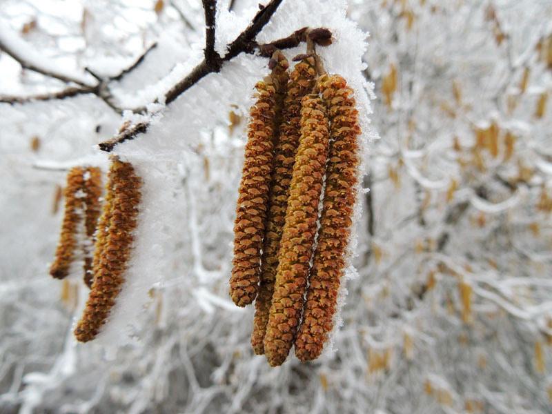Фотовыставка (декабрь) - 4. Фотовыставка (декабрь) - 4.
